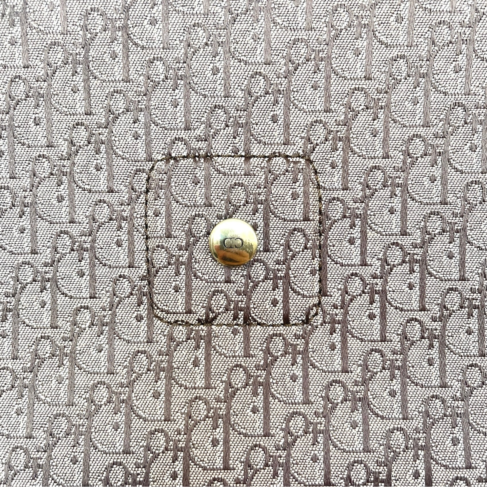 Christian Dior Street Chic trotter handbag.