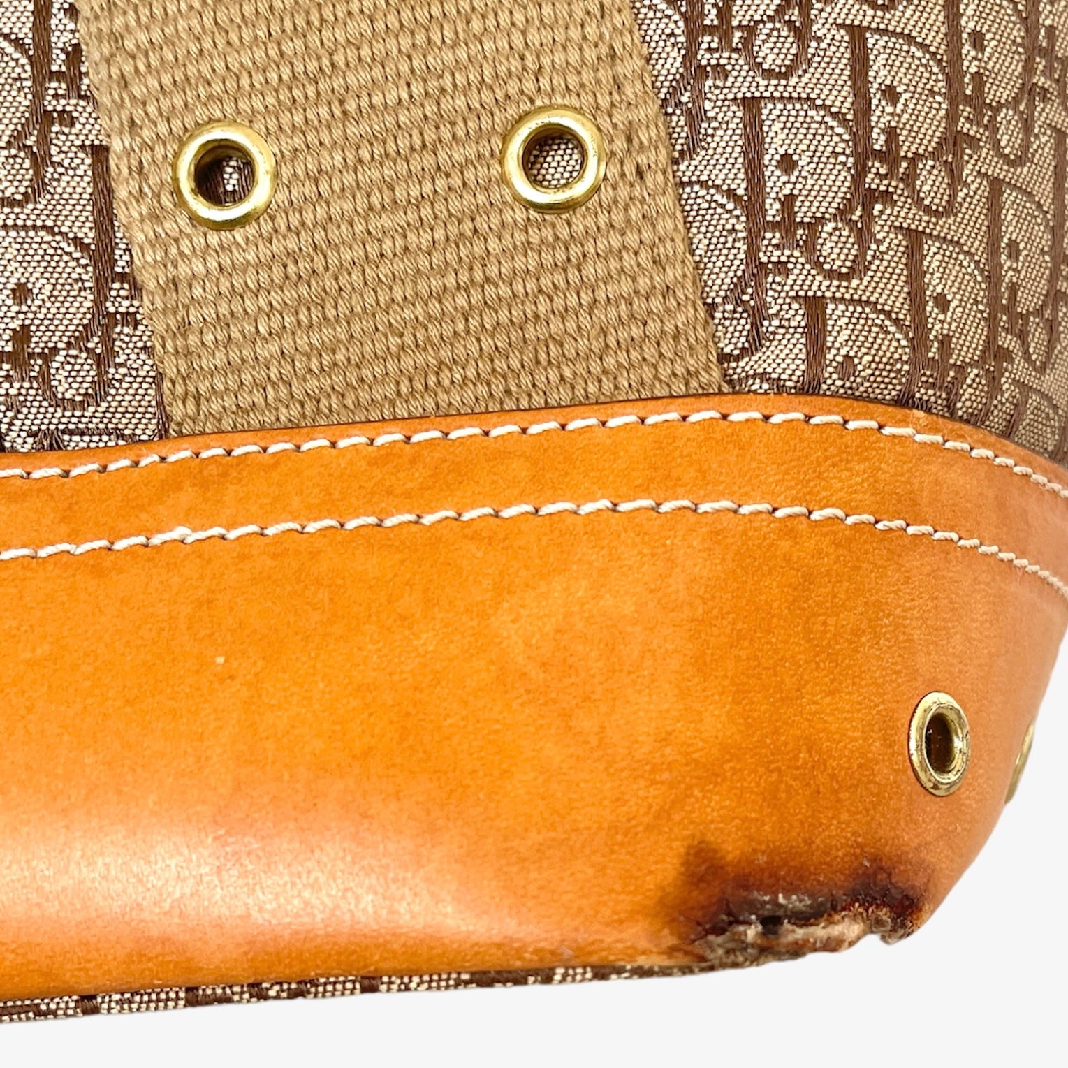 Christian Dior Street Chic trotter handbag.